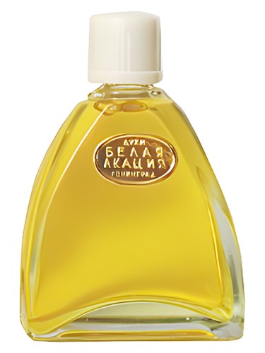 Acqua di Gio Profumo